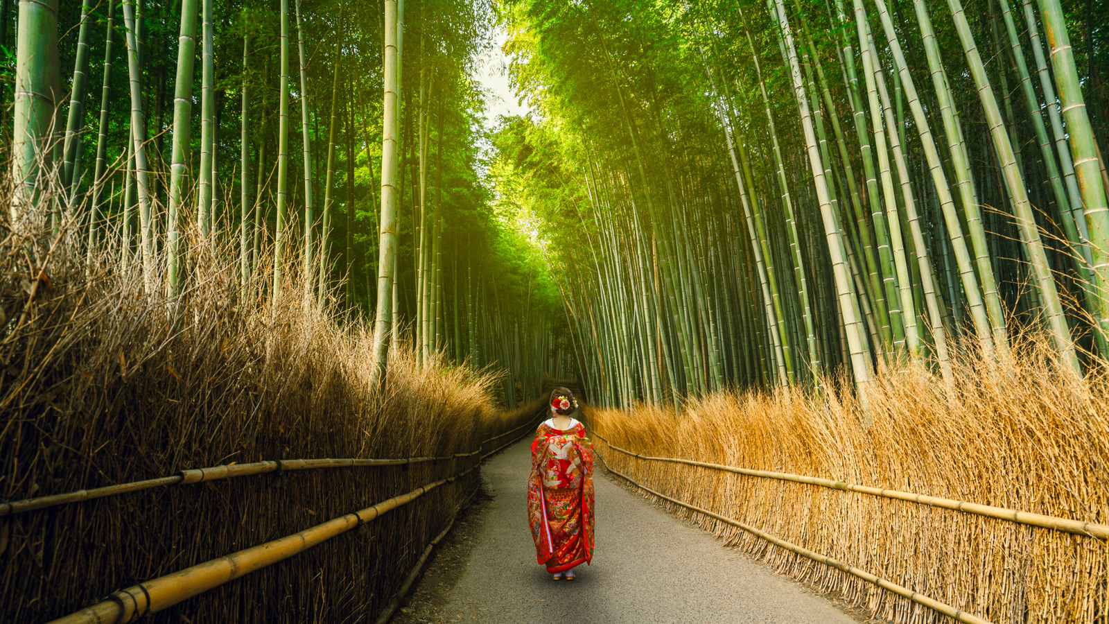 Activity Image